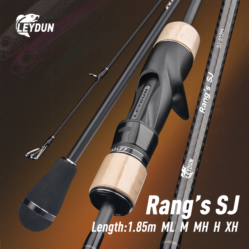 Fishing Rod Surf - LEYDUN Rang's SJ بطيئة القفز الصيد